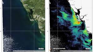 Cold Front Has Little Effect On Red Tide In Southwest Florida