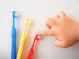 「歯ブラシ　特に子供用」の画像検索結果