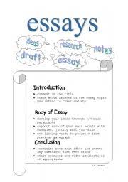 English worksheet  Essay Structure   How to write an essay Pinterest
