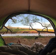 Maybe you would like to learn more about one of these? Colorado River Camping Palisade Basecamp Rv Resort Grand Junction Colorado Camping San Sebastian Acadia National Park Camping
