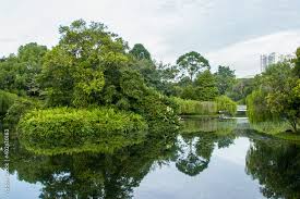 bishan ang mo kio park pond gardens