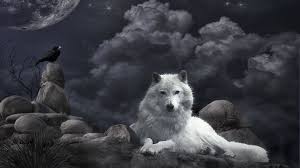 We have a massive amount of hd images that will make your computer or smartphone look absolutely fresh. Wolf Fantasy Wallpapers Group 82
