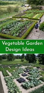 vegetable garden layout ideas beginners
