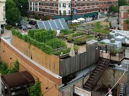 Rooftop Farming Is Getting Off The