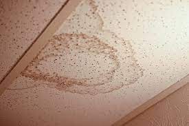 water stain on your ceiling