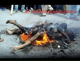 Image result for rohingya children burned alive