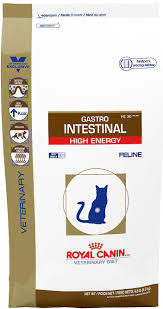 Royal Canin Veterinary Diet Gastrointestinal High Energy Dry Cat Food 8 8 Lb Bag