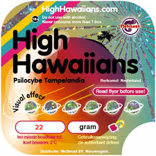 Black hole (psilocybe amazonia) is a new, exciting truffle strain of mysterious origin. Buy Magic Truffles High Hawaiians Selling Magic For Over A Decade