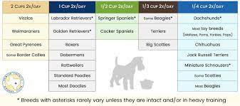 Check spelling or type a new query. How Much Should My Dog Eat Travis County Kennel Club