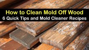 6 quick ways to clean mold off wood
