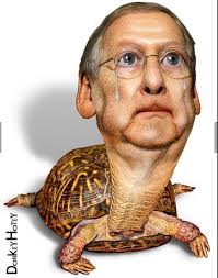 It's the anniversary of obama's most serious moral failing. Michael Tracey On Twitter Give Me All The Sad Turtle Mitch Mcconnell Memes