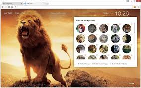 Wild Cats Wallpaper Hd Lion Tiger Puma