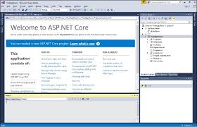 asp net core project layout