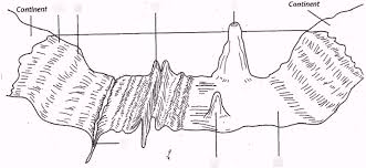 ocean floor diagram diagram quizlet