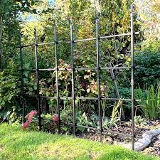 garden trellis for climbing plants 6ft