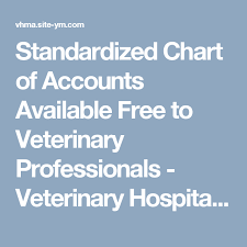Standardized Chart Of Accounts Available Free To Veterinary