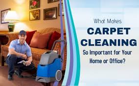 what makes carpet cleaning so important