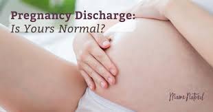 pregnancy discharge is what you re