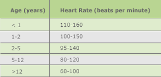 Heart And Breathing Rate Human Respiration Rate