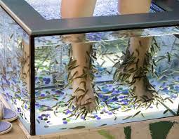 after fish pedicure woman loses her