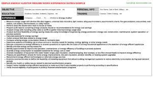 auditor resume example best resume