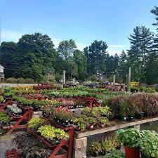 nursery and garden center in metrowest