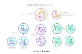 Organization Chart Vector Free Download