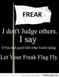 Let your freak flag fly. Flying Flag Quotes Quotesgram