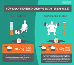 do you need to eat protein after