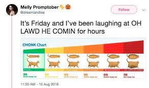 Chonk Oh Lawd He Comin Funny Memes Monday Memes Funny