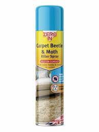 stv zero in carpet beetle moth