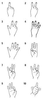 Immerse yourself in sign language through interactive and useful dialogs use lingvano to learn american sign language (asl) on your smartphone, tablet or laptop. American Sign Language For Dummies Cheat Sheet Dummies