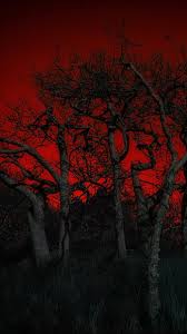 Hd Dark Red Forest Wallpapers Peakpx
