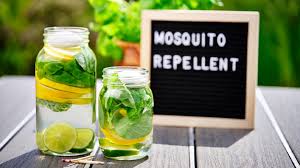 mosquito repellent candles pro mix