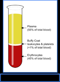 human blood components functions