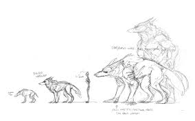 Laurcanthrope Dishonored Werewolf Au A Basic Size Chart