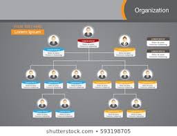 Organization Chart Images Stock Photos Vectors Shutterstock