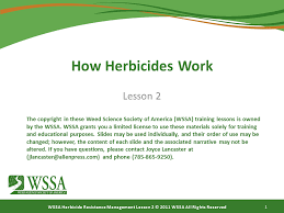 Herbicide Resistant Weeds Training Lessons How Herbicides