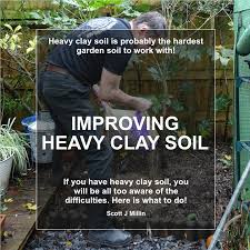 Clay Soil Amendment The Easy Care Garden