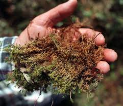 harvesting peat moss contributes to
