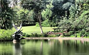 15 best parks in singapore archives
