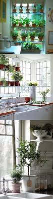 Just a few pots indoors can lift your cooking. Do You Grow Herbs 160 In Your Kitchen One Of The Most Effective Winter Blues Remedies I Ve T Window Herb Garden Herb Garden In Kitchen Kitchen Window Shelves