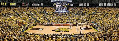 Details About Jigsaw Puzzle Ncaa Wichita State Shockers Charles Koch Arena Stadium 1000 Pc New