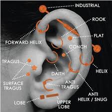 Ear Piercing Chart Bodyj4you_large Kookie