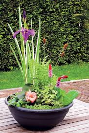 Pond In A Pot Create A Container Water