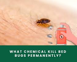 what chemical kills bed bugs permanently