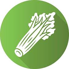 Celery Glyph Icon Garden Ingredient