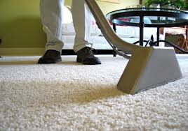 carpet cleaners houston free cleaning