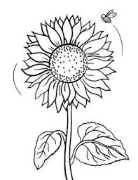 Kami telah menyajikan contoh gambar sketsa bunga, gambar bunga, serta contoh lukisan . Sketsa Gambar Bunga Matahari Cara Golden