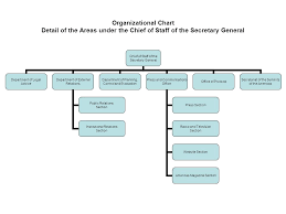 Organizational Chart Detail Of The Areas Under The Assistant